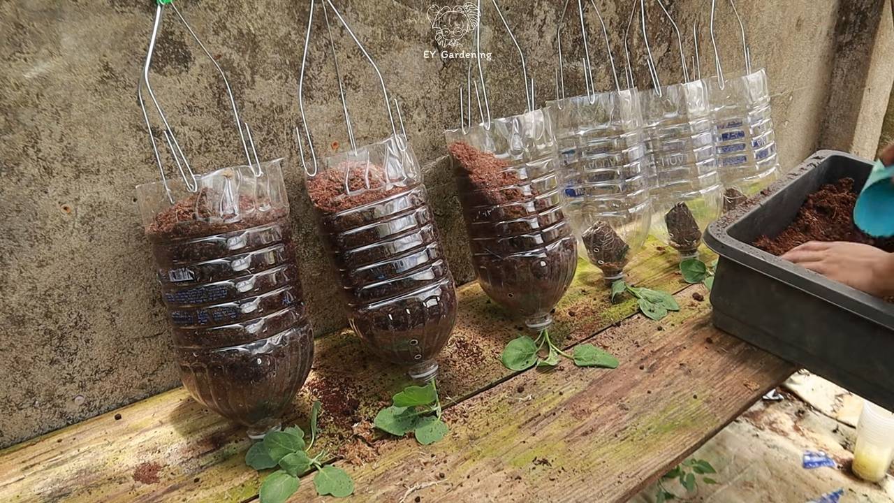 DIY Upside Down Planter