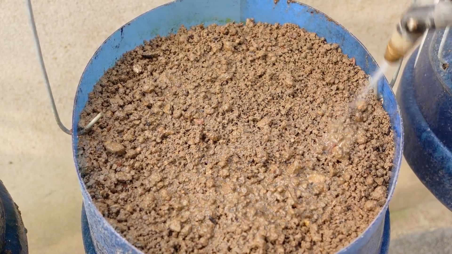 Easy to grow vegetables