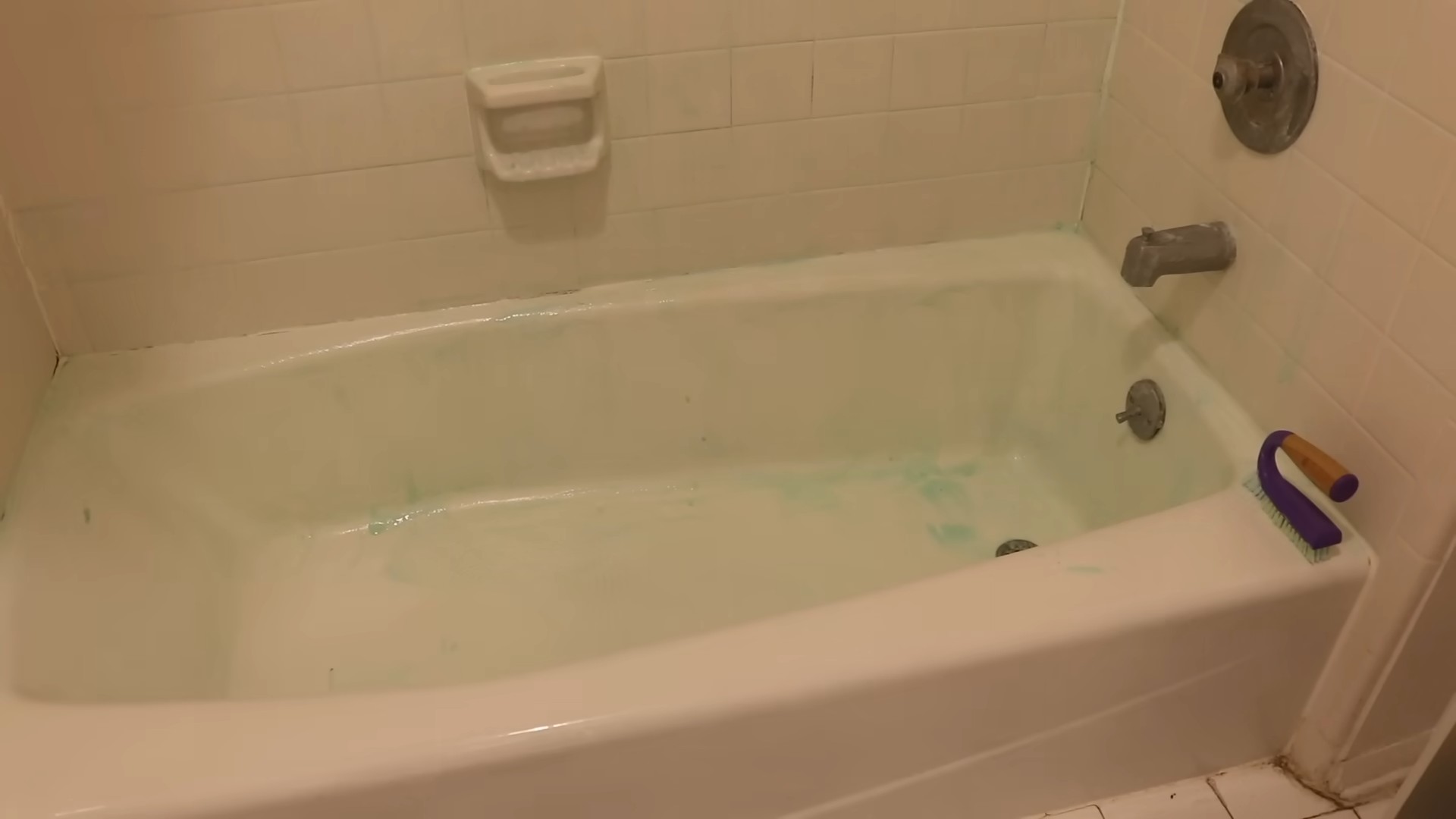 Shower Mold Removal