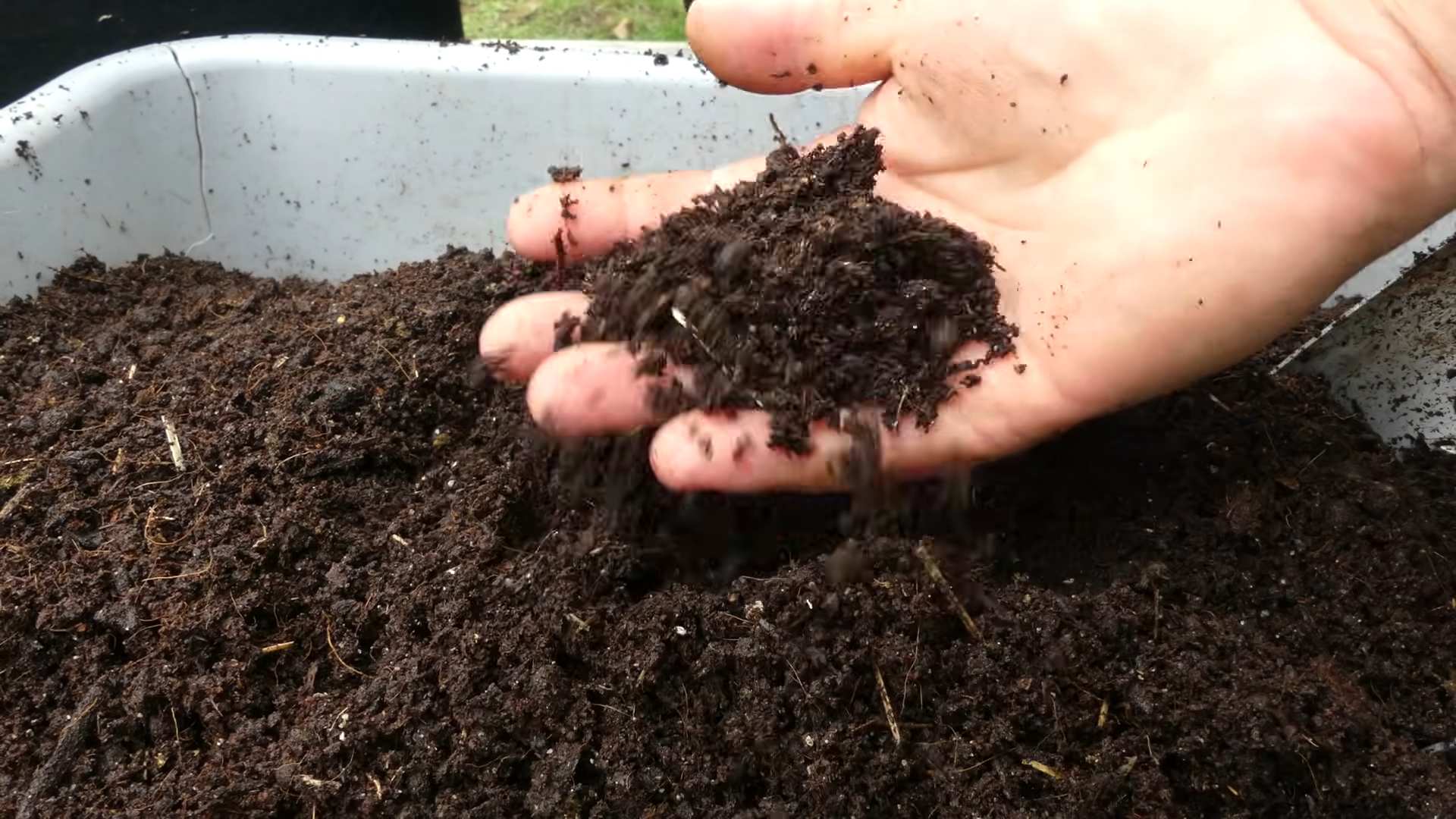 Grow Carrots Container Gardening