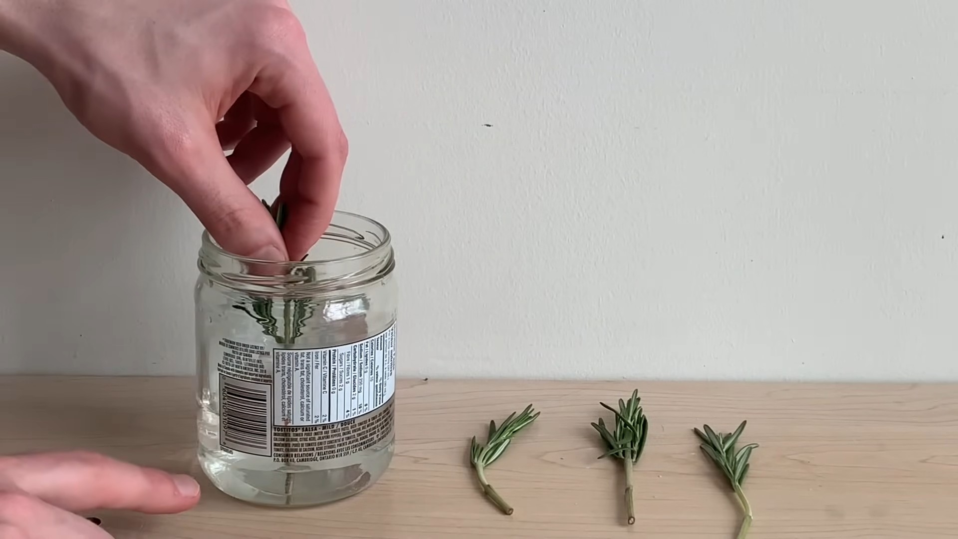 Harvesting Rosemary