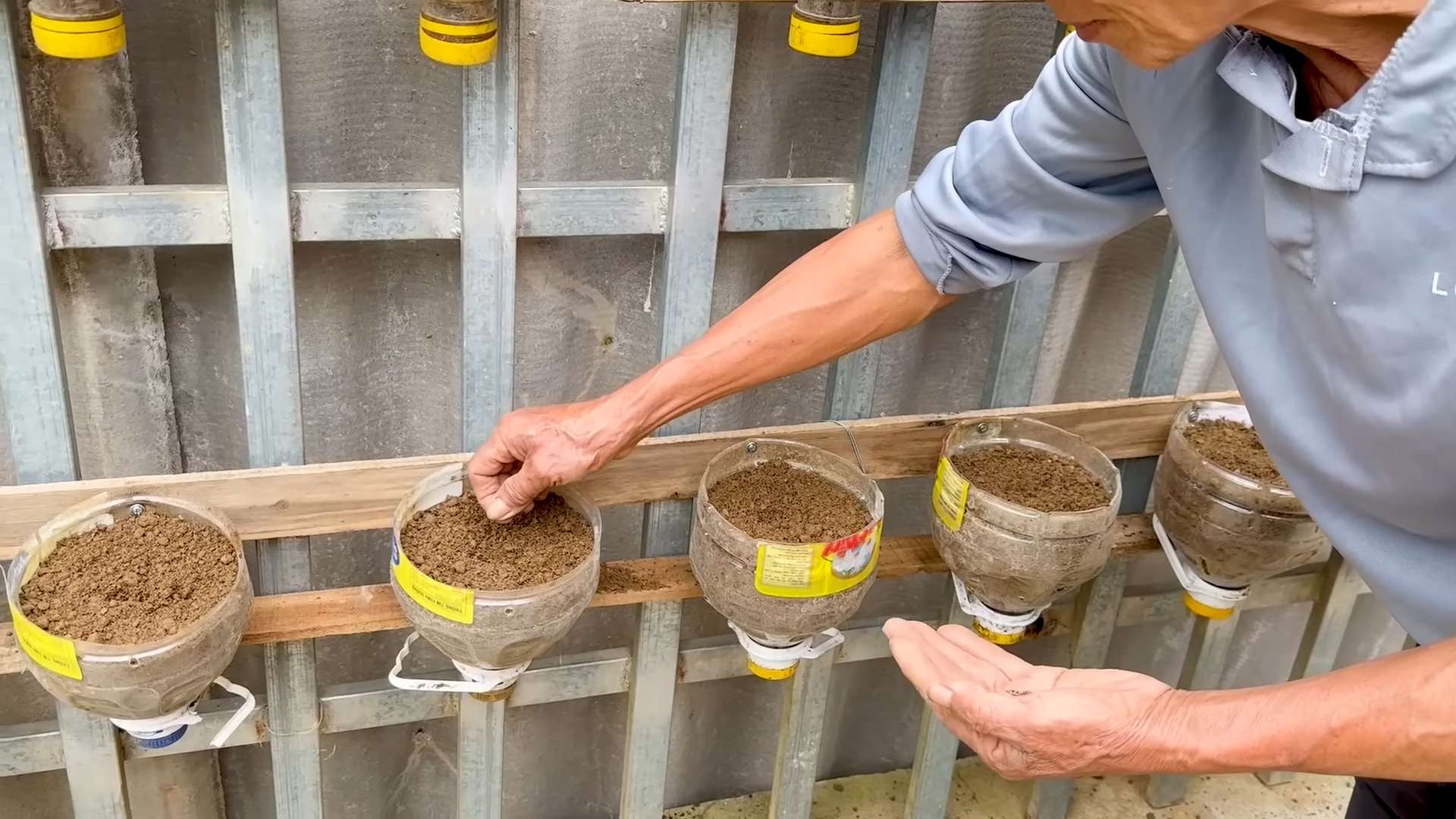 Grow Kale in Bottles