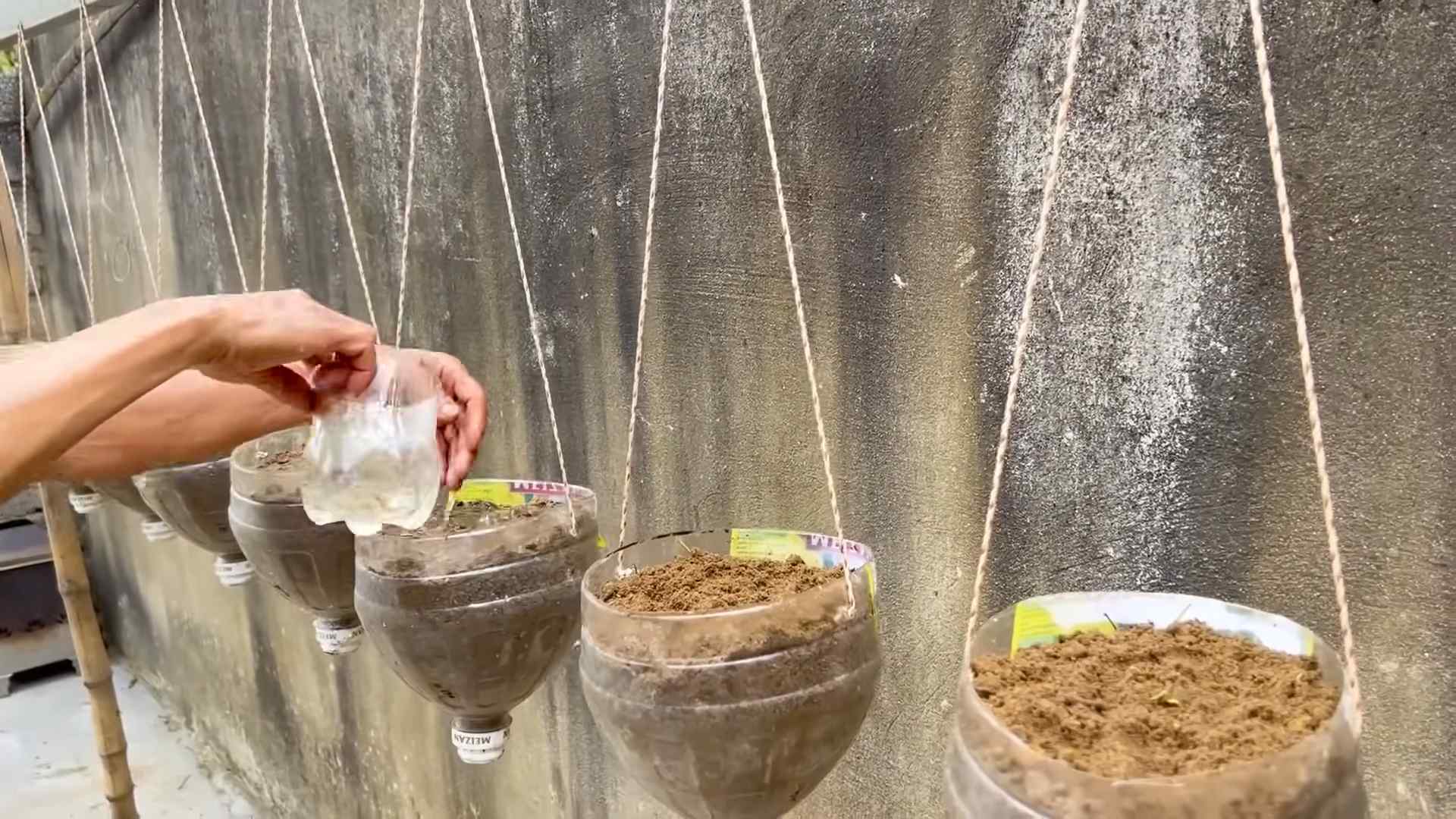 Melon Carving Secret