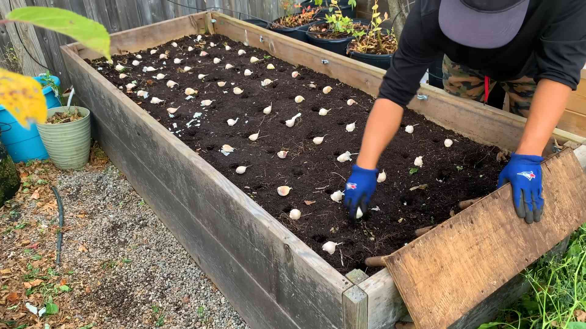 Homemade Garlic