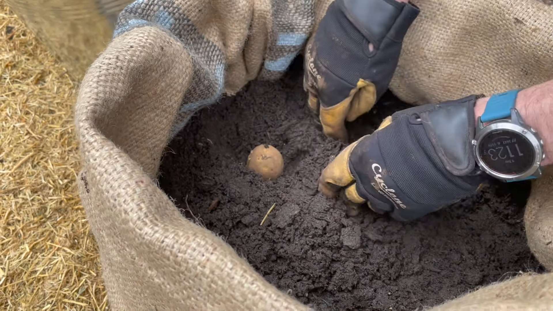 Planting Potatoes Grow Bags
